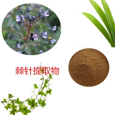 棘针提取物 棘针粉 棘针速溶粉  棘针浸膏粉