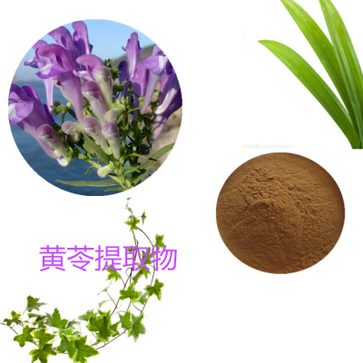 黄苓提取物 黄苓粉 黄苓速溶粉  黄苓浸膏粉