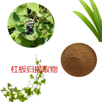 杠板归提取物 杠板归粉 杠板归速溶粉  杠板归浸膏粉