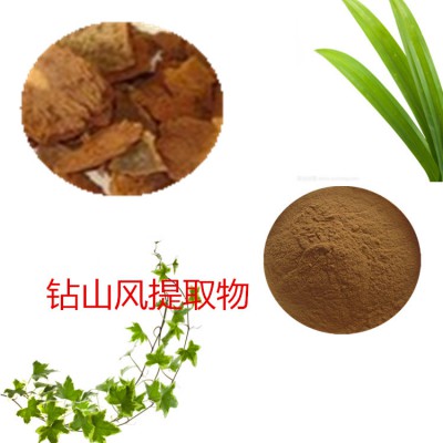 钻山风提取物 钻山风粉  钻山风速溶粉 钻山风浸膏粉