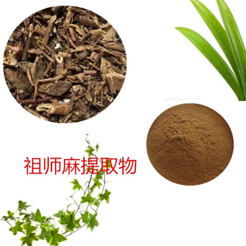 祖师麻提取物 祖师麻粉  祖师麻速溶粉 祖师麻浸膏粉