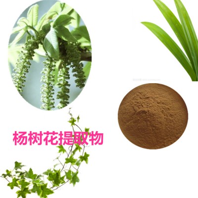 杨树花提取物 杨树花粉 杨树花速溶粉 杨树花浸膏粉