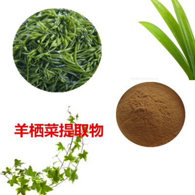 羊栖菜提取物 羊栖菜粉 羊栖菜速溶粉 羊栖菜浸膏粉