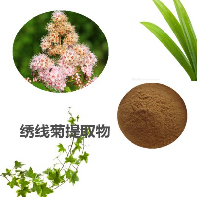 绣线菊提取物 绣线菊粉 绣线菊速溶粉 绣线菊浸膏粉