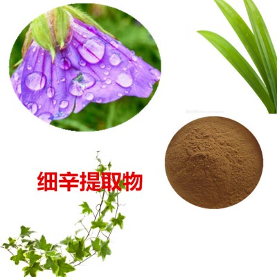 细辛提取物 细辛粉 细辛速溶粉 细辛浸膏粉