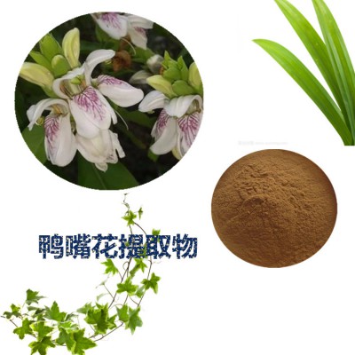 鸭嘴花提取物  鸭嘴花粉  鸭嘴花速溶粉  鸭嘴花浸膏粉