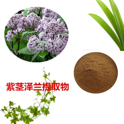 紫茎泽兰提取物  紫茎泽兰粉  紫茎泽兰浸膏粉