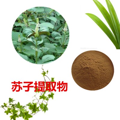苏子提取物 10：1  苏子粉 苏子速溶粉 苏子浸膏粉