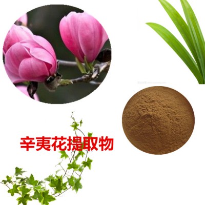 苏子提取物 10：1  苏子粉 苏子速溶粉 苏子浸膏粉
