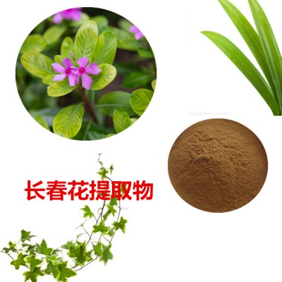 长春花提取物  长春花粉 长春花速溶粉  长春花浸膏粉
