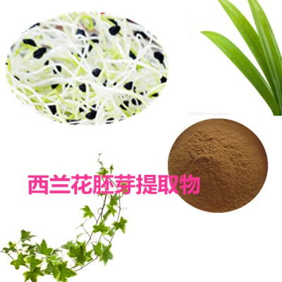 西兰花胚芽提取物  西兰花胚芽粉 西兰花胚芽浸膏粉