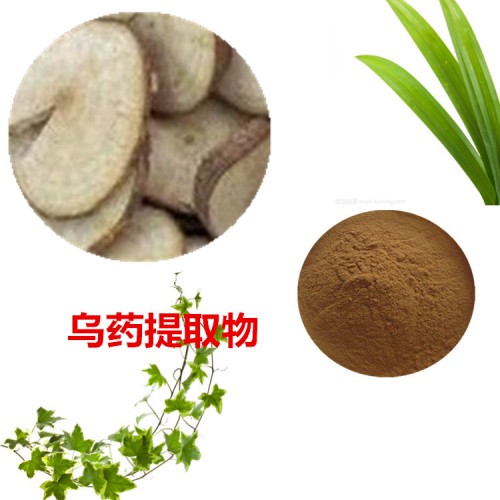乌药提取物  乌药粉 乌药速溶粉 乌药浸膏粉
