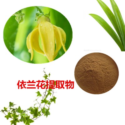 依兰花提取物  依兰花粉 依兰花速溶粉 依兰花浸膏粉