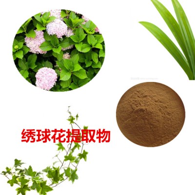 绣球花提取物  绣球花粉 绣球花速溶粉 绣球花浸膏粉