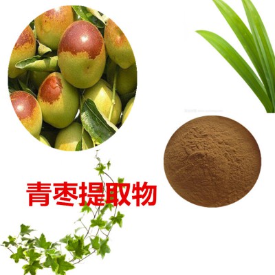 青枣提取物  青枣粉 青枣速溶粉 青枣浸膏粉