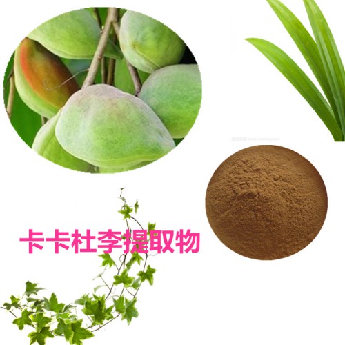 卡卡杜李提取物  卡卡杜李粉 卡卡杜李速溶粉