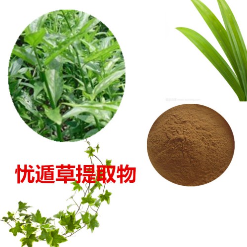 忧遁草提取物  忧遁草粉 忧遁草速溶粉 忧遁草浸膏粉