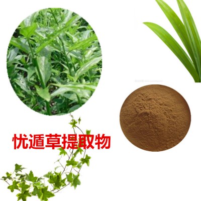 忧遁草提取物  忧遁草粉 忧遁草速溶粉 忧遁草浸膏粉