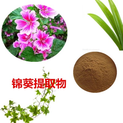 锦葵提取物  锦葵粉 锦葵速溶粉 锦葵浸膏粉