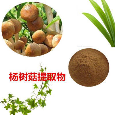 杨树菇提取物 杨树菇粉 杨树菇速溶粉 杨树菇浸膏粉