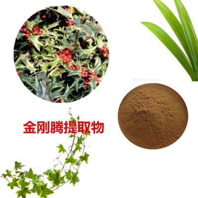 金刚腾提取物 金刚腾粉 金刚腾速溶粉 金刚腾浸膏粉