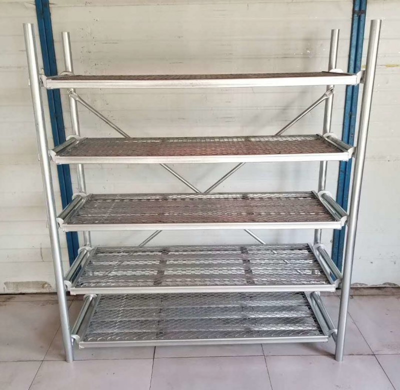 Summer beach concept