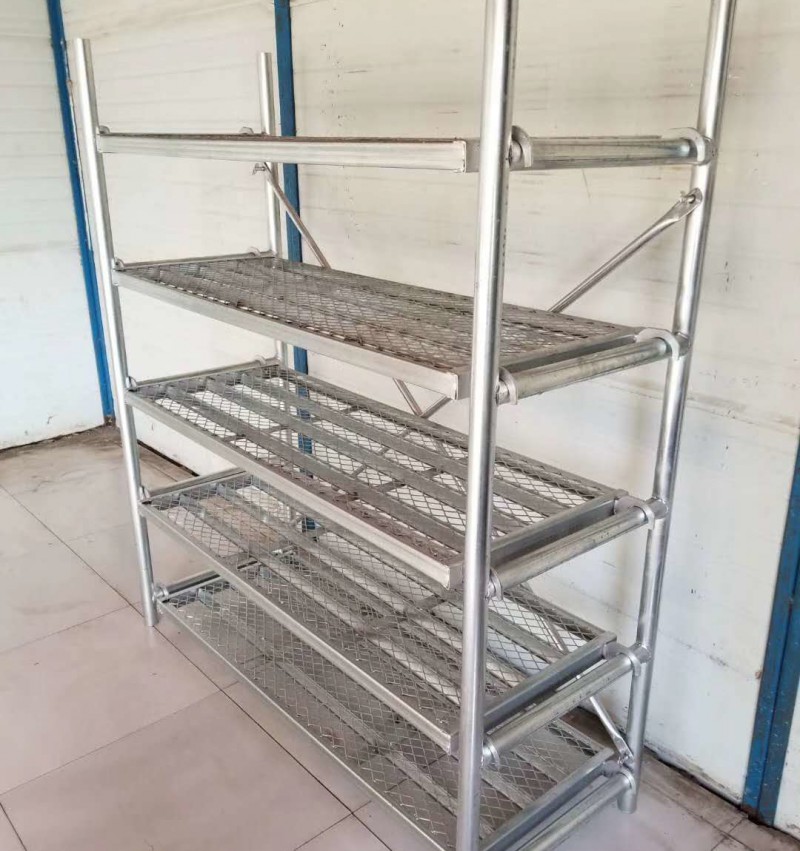 Summer beach concept