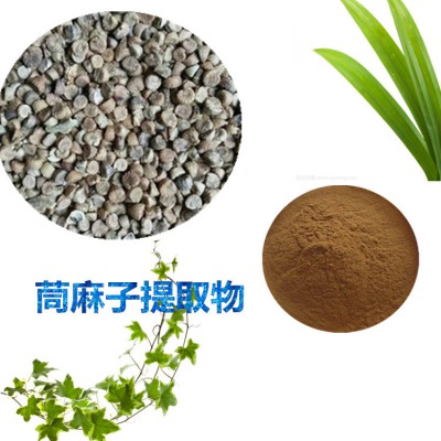 茼麻子提取物  茼麻子粉 茼麻子速溶粉 茼麻子浸膏粉
