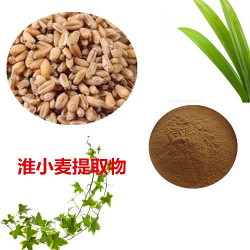 淮小麦提取物  淮小麦粉 淮小麦速溶粉 淮小麦浸膏粉