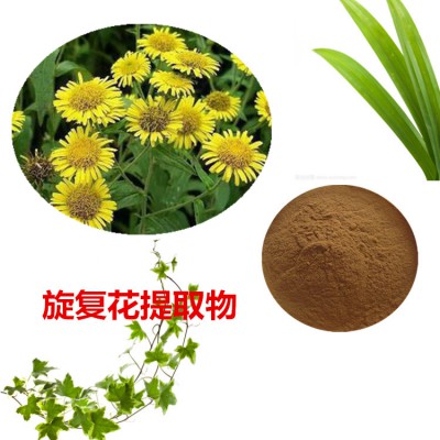 旋复花提取物 旋复花粉 旋复花速溶粉 旋复花浸膏粉