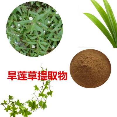 旱莲草提取物 旱莲草粉 旱莲草速溶粉 旱莲草浸膏粉