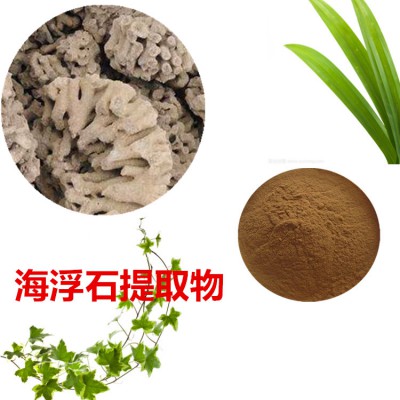 海浮石提取物 海浮石粉 海浮石速溶粉 海浮石浸膏粉