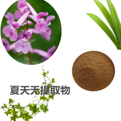 夏天无提取物 夏天无粉夏天无速溶粉 夏天无浸膏粉