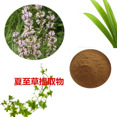 夏至草提取物 夏至草粉  夏至草速溶粉 夏至草浸膏粉