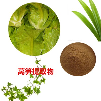 莴笋提取物 莴笋粉  莴笋速溶粉 莴笋浸膏粉