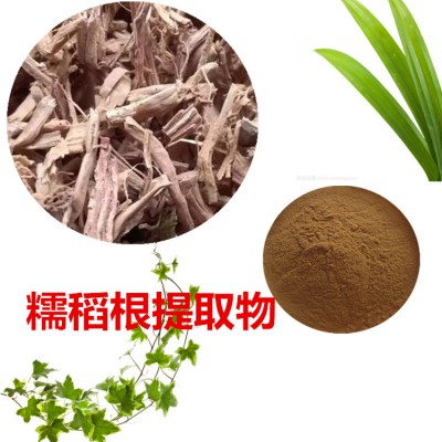 糯稻根提取物 糯稻根粉 糯稻根速溶粉 糯稻根浸膏粉
