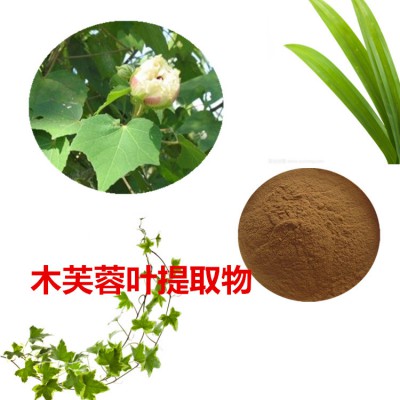 木芙蓉叶提取物  木芙蓉叶粉 木芙蓉叶速溶粉