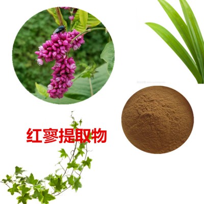 红寥提取物 10:1  红寥粉 红寥速溶粉 红寥浸膏粉