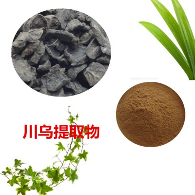 川乌提取物   川乌粉 川乌速溶粉 川乌浸膏粉