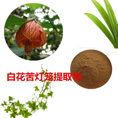 白花苦灯笼提取物 白花苦灯笼粉 白花苦灯笼速溶粉