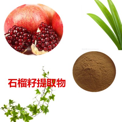 石榴籽提取物  石榴籽粉 石榴籽速溶粉 石榴籽浸膏粉