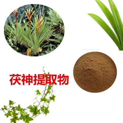 茯神提取物 10:1 茯神粉 茯神速溶粉 茯神浸膏粉