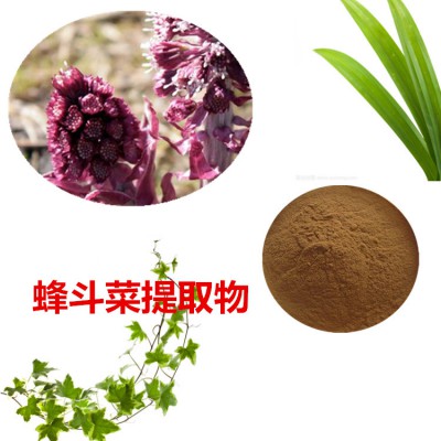 蜂斗菜提取物 蜂斗菜粉 蜂斗菜速溶粉 蜂斗菜浸膏粉