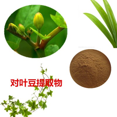 对叶豆提取物  对叶豆粉 对叶豆速溶粉 对叶豆浸膏粉