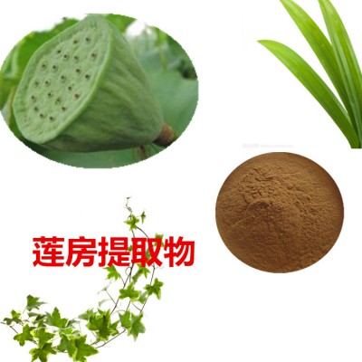 莲房提取物 10:1 莲房粉 莲房速溶粉 莲蓬浸膏粉