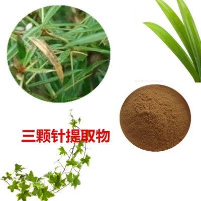 三颗针提取物 三颗针粉 三颗针速溶粉 三颗针浸膏粉
