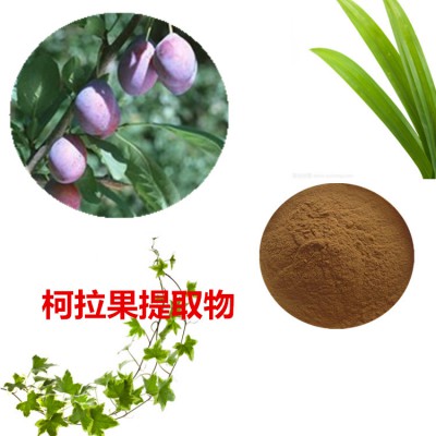 柯拉果提取物 柯拉果粉 柯拉果速溶粉 柯拉果浸膏粉