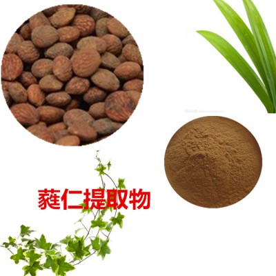 蕤仁提取物 蕤仁粉 蕤仁速溶粉 蕤仁浸膏粉
