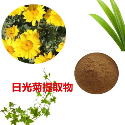 日光菊提取物  日光菊粉 日光菊速溶粉 日光菊浸膏粉