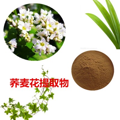 荞麦花提取物  荞麦花粉 荞麦花速溶粉 荞麦花浸膏粉
